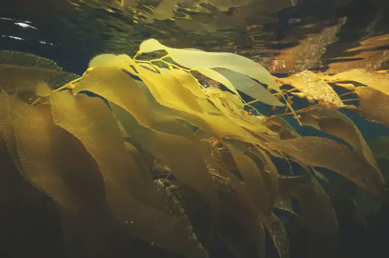 d5ab990c8a13c80cecf208a3e3a60e209c865076-1150x763